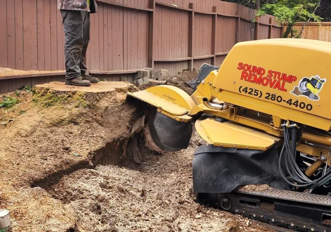 Sound Stump Removal 130
